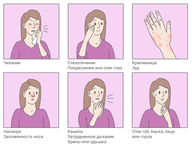Симптомы бытовой аллергии