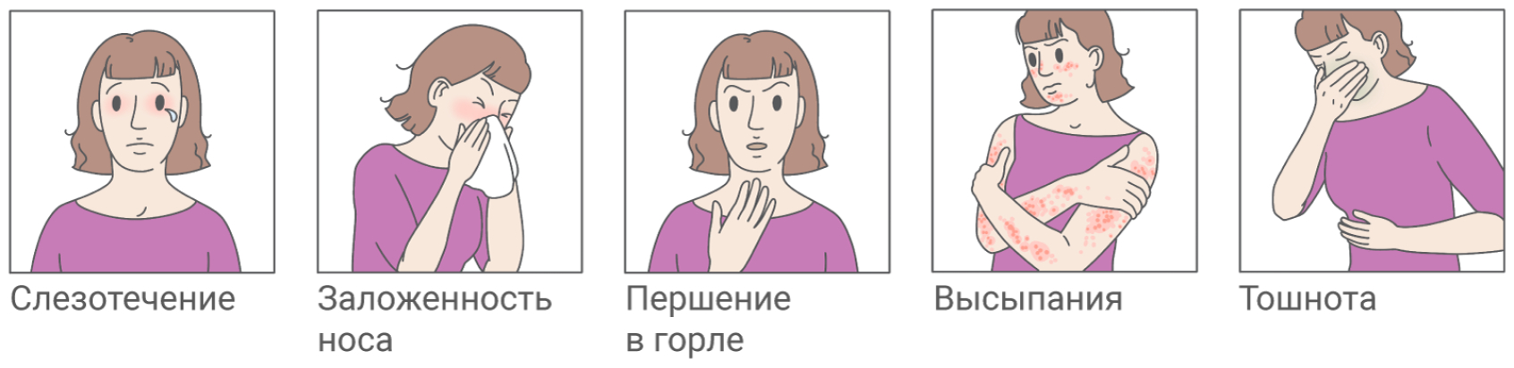 Аллергены: виды, анализы и реакции