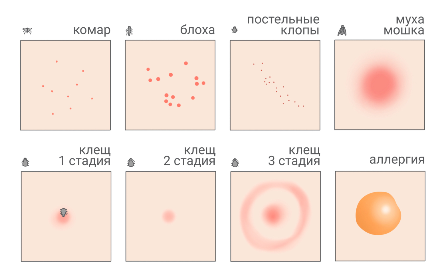 Какие насекомые кусают человека хуже всего - слепни или комары?" - Яндекс Кью